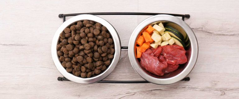 How to Choose the Best Pet Food: A Comprehensive Guide for Pet Owners